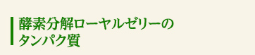 酵素分解ローヤルゼリーのタンパク質