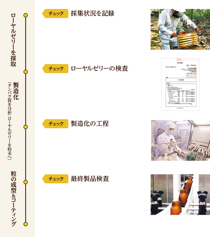 チェック体制