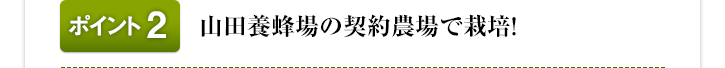 |Cg2FRc{Ǐ__ō͔|!