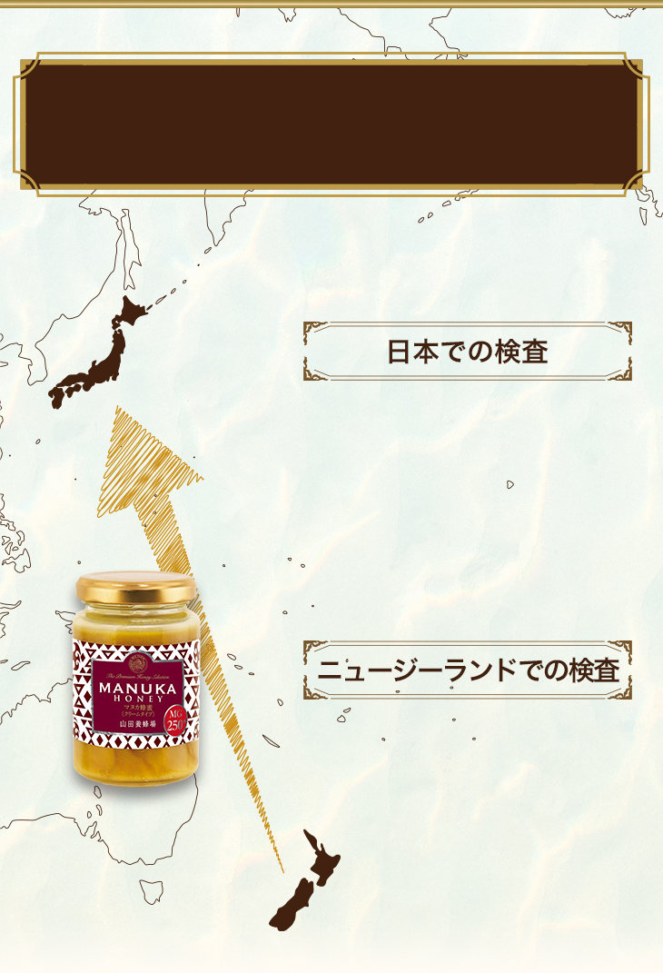 日本での検査 ニュージーランドでの検査