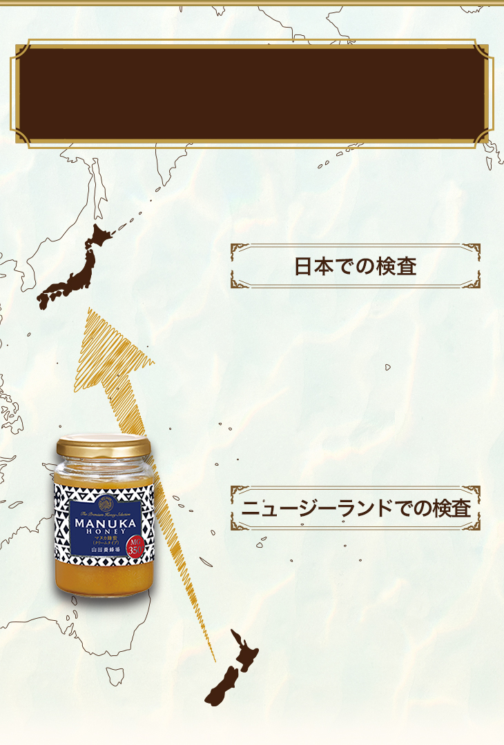 日本での検査 ニュージーランドでの検査