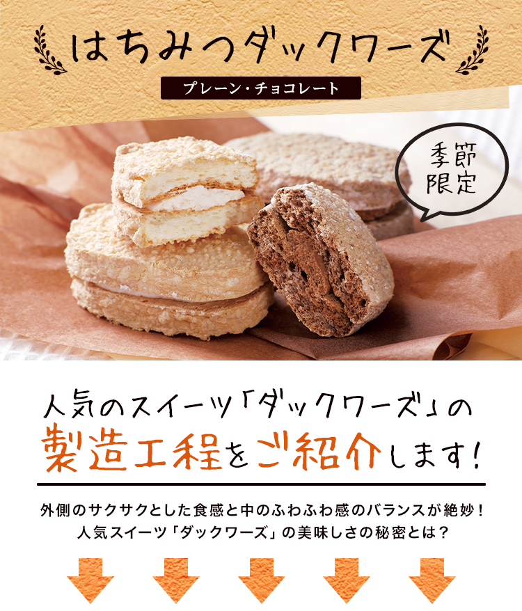 はちみつダックワーズ(プレーン・チョコレート)季節限定 人気のスイーツ「ダックワーズ」の製造工程をご紹介します!外側のサクサクした食感と中のふわふわ感のバランスが絶妙!人気スイーツ「ダックワーズ」の美味しさの秘密とは?