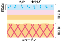 畆̒fʐ}