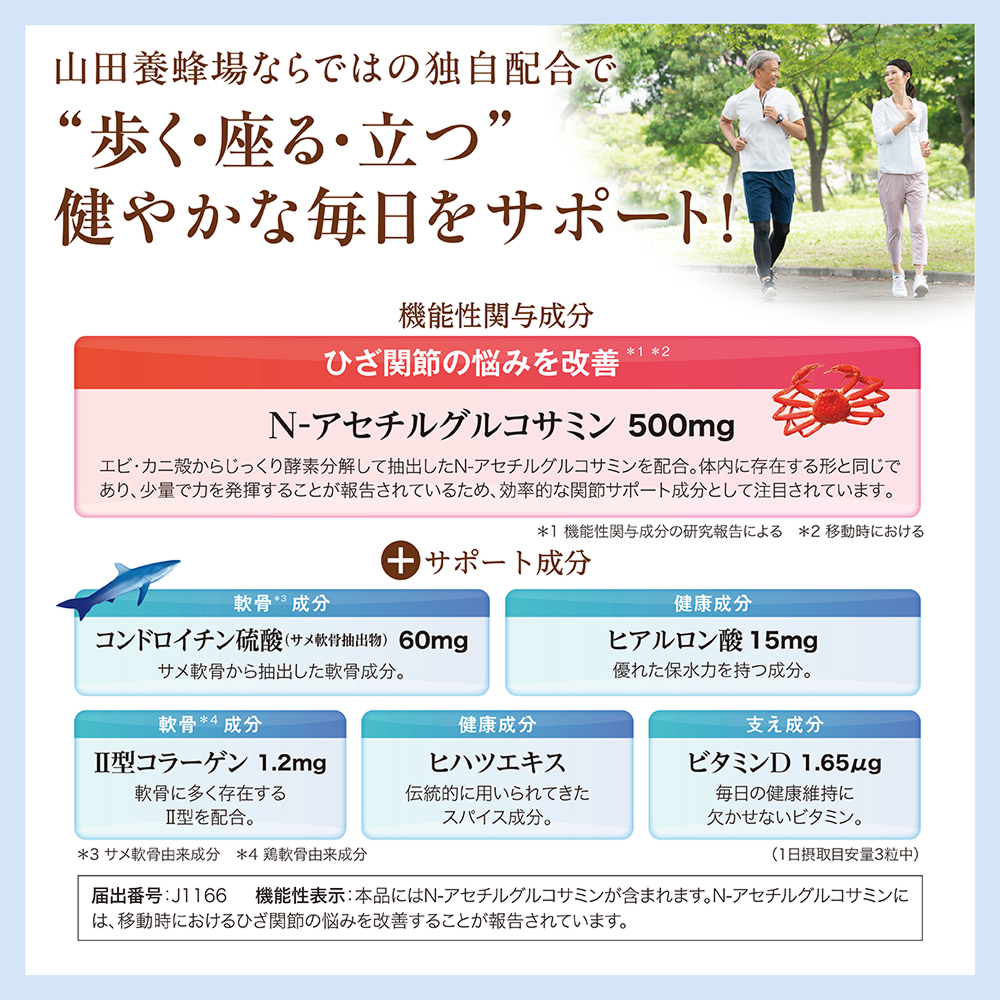 Rc{IȂł͂̓Ǝz gEEh ₩ȖT|[g!  @\֗^ EN-AZ`ORT~ 500mg T|[g ERhC`_ (To) 60mg EqA_ 15mg EII^R[Q 1.2mgEqncGLXEr^~D 1.65g