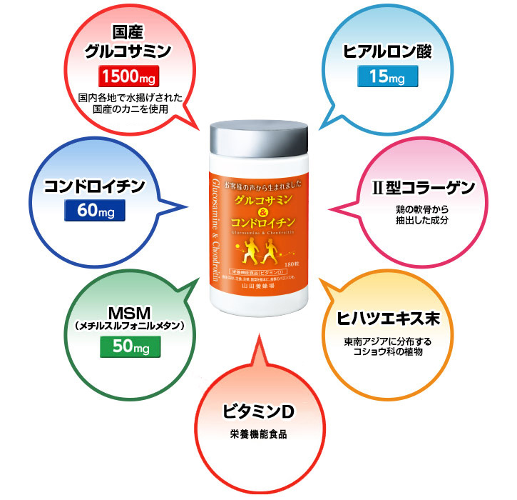 グルコサミン、コンドロイチン、MSM（メチルスルフォニルメタン）、ヒハツエキス末、ヒアルロン酸、Ⅱ型コラーゲン、ビタミンD