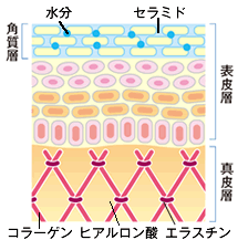 畆̒fʐ}