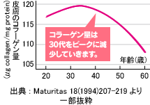 畆̃R[Q