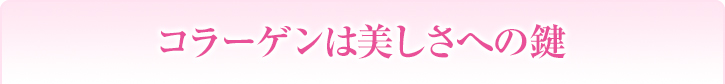 R[Q͔ւ̌