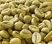 生コーヒー豆抽出物