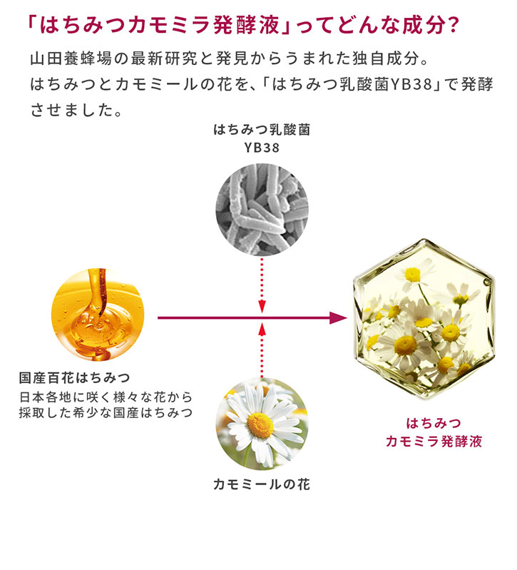 「はちみつカモミラ発酵液」ってどんな成分? 山田養蜂場の最新研究と発見から生まれた独自成分。はちみつとカモミールの花を、「はちみつ乳酸菌YB38」で発酵させました。 国産百花はちみつ(日本各地に咲く様々な花から採取した希少な国産はちみつ) + はちみつ乳酸菌YB38 カモミールの花 → はちみつカモミラ発酵液