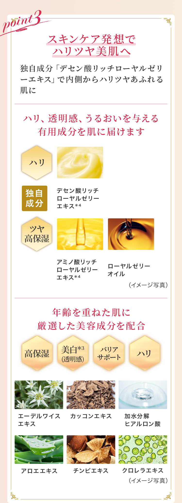 point3 XLPAz nc ƎufZ_b`[[[GLXvœncӂ锧 nAA邨^Lp𔧂ɓ͂܂ Nd˂ɌIez