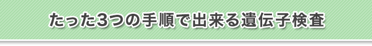 3̎菇ŏo`q