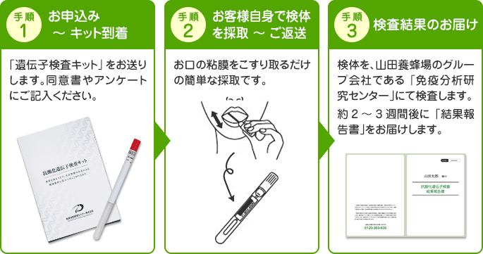 菇1F\݁`Lbg 菇2FqlgŌ̂̎`ԑ 菇3Fʂ̂͂