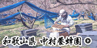 和歌山県 中村養蜂園