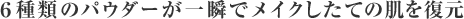 6��ނ̃p�E�_�[����u�Ń��C�N�����Ă̔��𕜌�