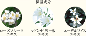 �ێ������F���[�Y�t���[�c�G�L�X�A�}�h���i�����[���G�L�X�A�G�[�f�����C�X�G�L�X