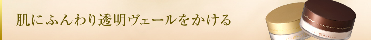 ���ɂӂ��蓧�����F�[����������