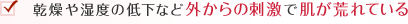 乾燥や湿度の低下など外からの刺激で肌が荒れている