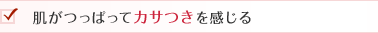 肌がつっぱってカサつきを感じる