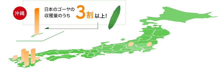 苦味にやみつき その苦味は栄養の宝庫だった ゴーヤ特集 山田養蜂場