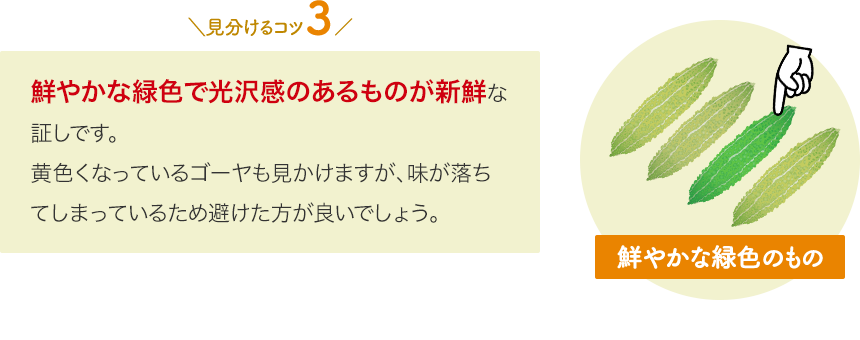 苦味にやみつき その苦味は栄養の宝庫だった ゴーヤ特集 山田養蜂場 苦味にやみつき その苦味は栄養の宝庫だった ゴーヤ特集 山田養蜂場