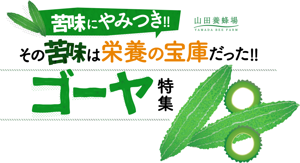 苦味にやみつき その苦味は栄養の宝庫だった ゴーヤ特集 山田養蜂場 苦味にやみつき その苦味は栄養の宝庫だった ゴーヤ特集 山田養蜂場