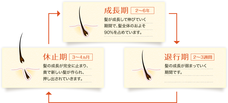 秋は抜け毛が多くなる 健康な髪や頭皮を保つ意外な対策 山田養蜂場