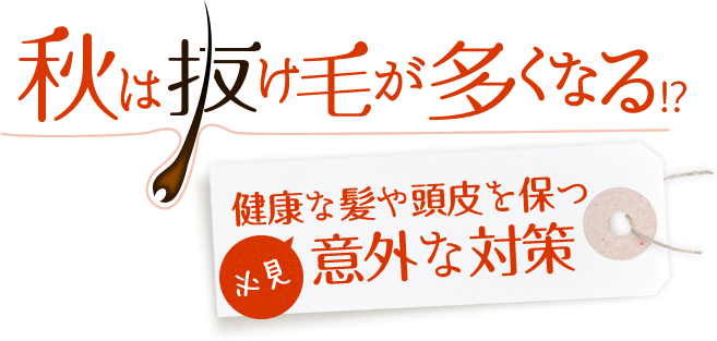 秋は抜け毛が多くなる 健康な髪や頭皮を保つ意外な対策 山田養蜂場