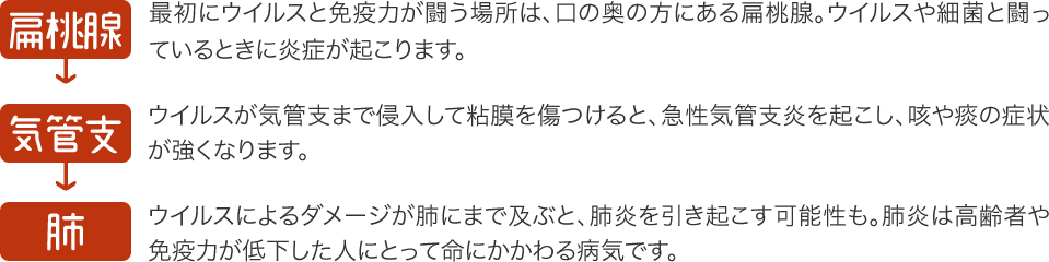 免疫力upで夏を快適に 山田養蜂場
