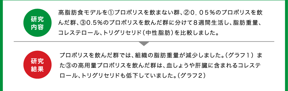 健康的で無理のないダイエット 山田養蜂場