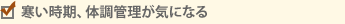 A̒ǗCɂȂ