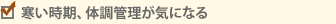 A̒ǗCɂȂ
