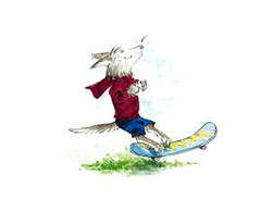 Picture01