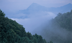 秩父盆地のシンボル武甲山(1304m)が、雨上がりの布沢集落から霞んで見える