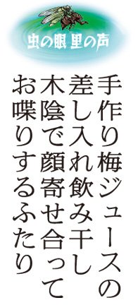 ~W[X̍݊؉AŊ񂹍Ă肷ӂ