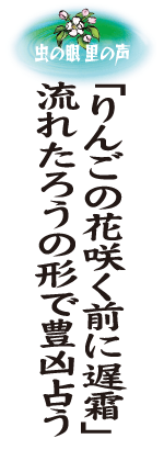 u񂲂̉ԍ炭Oɒxvꂽ낤̌`ŖL肤