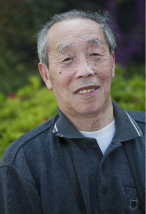 蕔̍ꂳ
