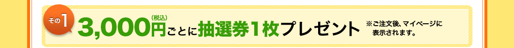 ����1�@3,000�~�i�ō��j���Ƃɒ��I��1���v���[���g�@����������A�}�C�y�[�W�ɕ\������܂��B