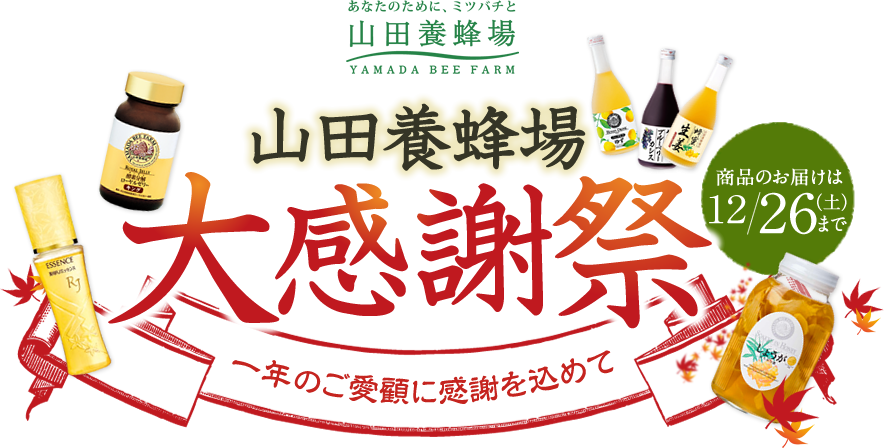 Rc{I@労ӍՁ@î͂12/26iyj܂