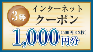 3等 インターネットクーポン 1,000円分（500円×2枚）