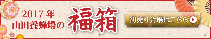 2017�N�R�c�{�I��� ���� ��������͂�����