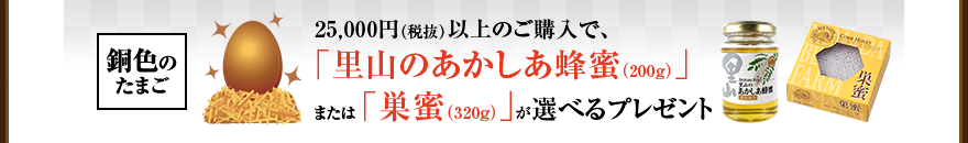 ���F�̂��܂� 25,000�~�i�Ŕ��j�ȏ�̂��w���ŁA����R�̂��������I���i200g�j��܂��� ������i320g�j����I�ׂ�v���[���g