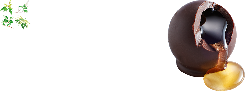 {{nj[VRiYSԖIgpj