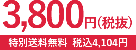 100Zbg 3,800~iŔj ō4,104~