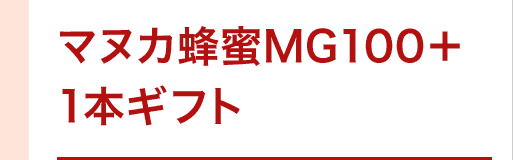 }kJIMG100{1{Mtg