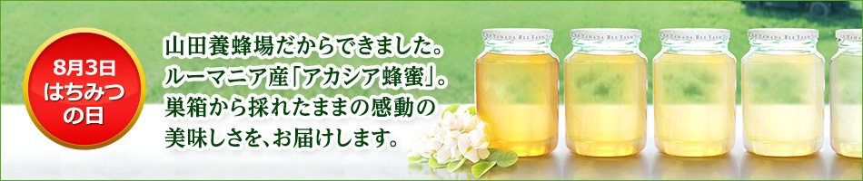 8��3���F�͂��݂̓�