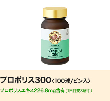 �v���|���X300��100��/�r������