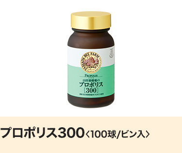 �v���|���X300��100��/�r������