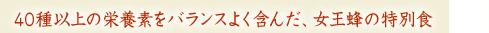 40ȏ̉h{foX悭܂񂾁AI̓ʐH