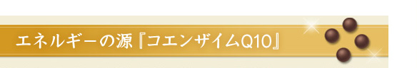 GlM[̌wRGUCQ10x
